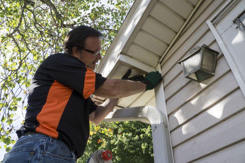 Gutter Cleaning