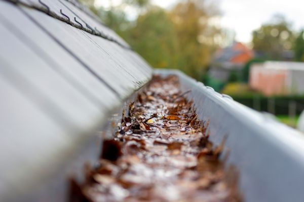 Cost of Commercial Gutter Cleaning in Roswell