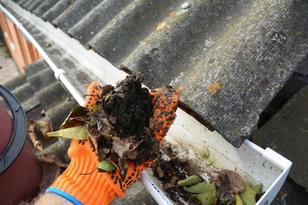 Seamless Gutter Cleaning in Roswell