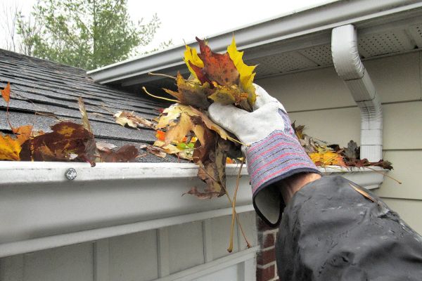 Leaf Gutter Cleaning in Roswell