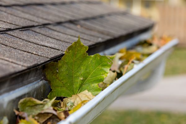 Gutter System Cleaning in Roswell