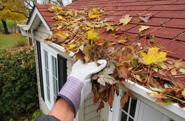 Emergency Gutter Cleaning in Roswell