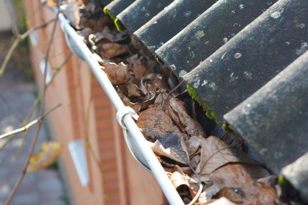Home Gutter Cleaning in Roswell