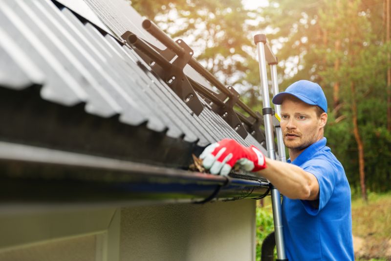 Professional Gutter Maintenance