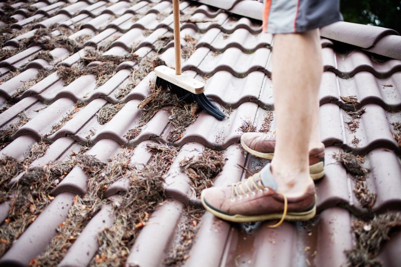 Gutter Pine Needle Removal