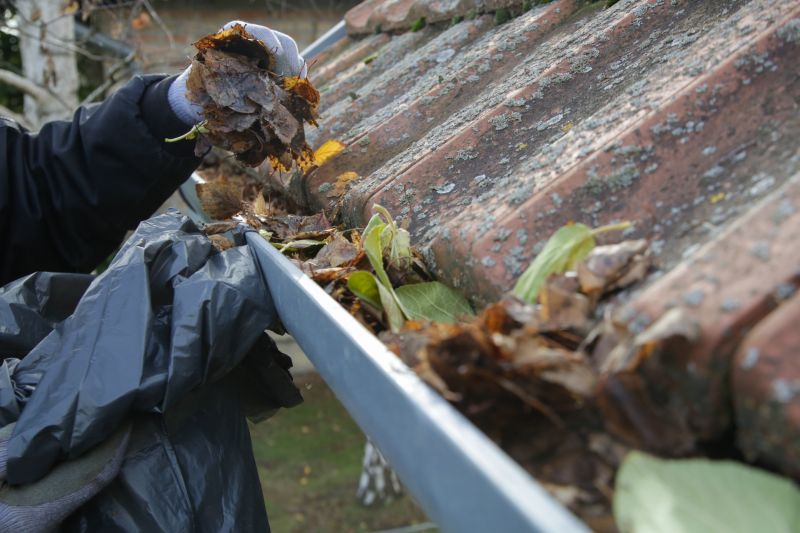 Maintaining Gutter Systems